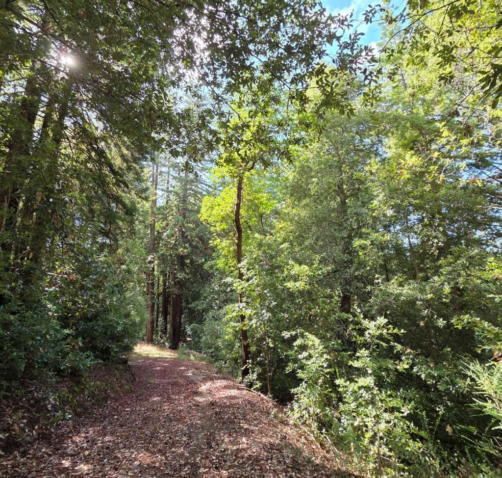 MLS #ML82027075 image #3