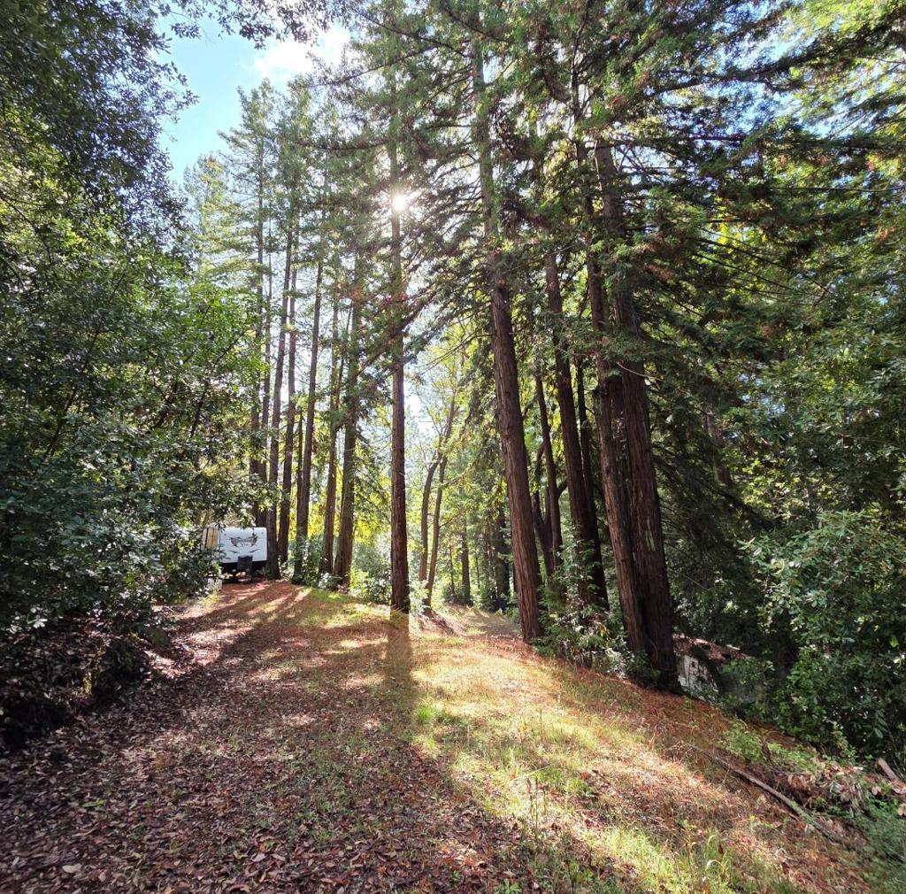 MLS #ML82027075 image #4