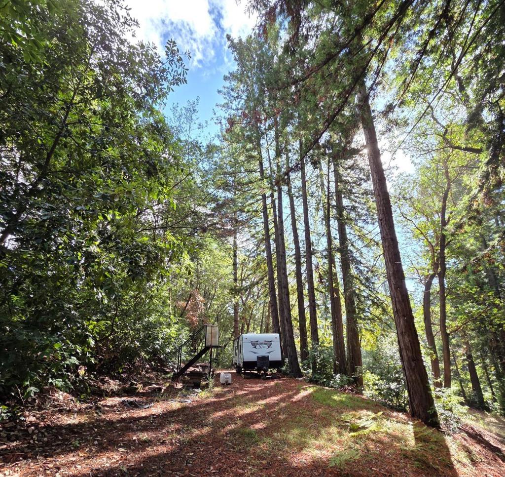 MLS #ML82027075 image #5