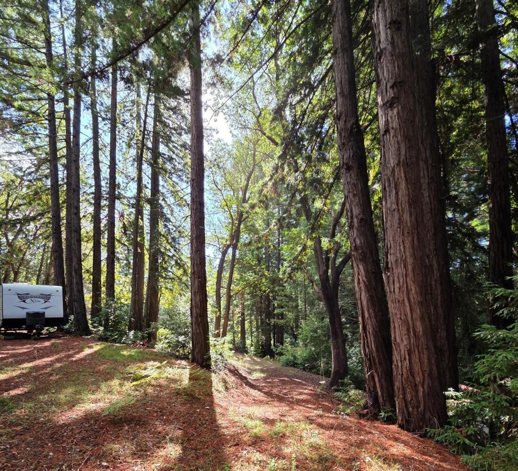 MLS #ML82027075 image #6