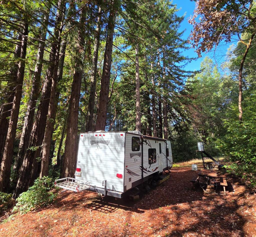 MLS #ML82027075 image #7