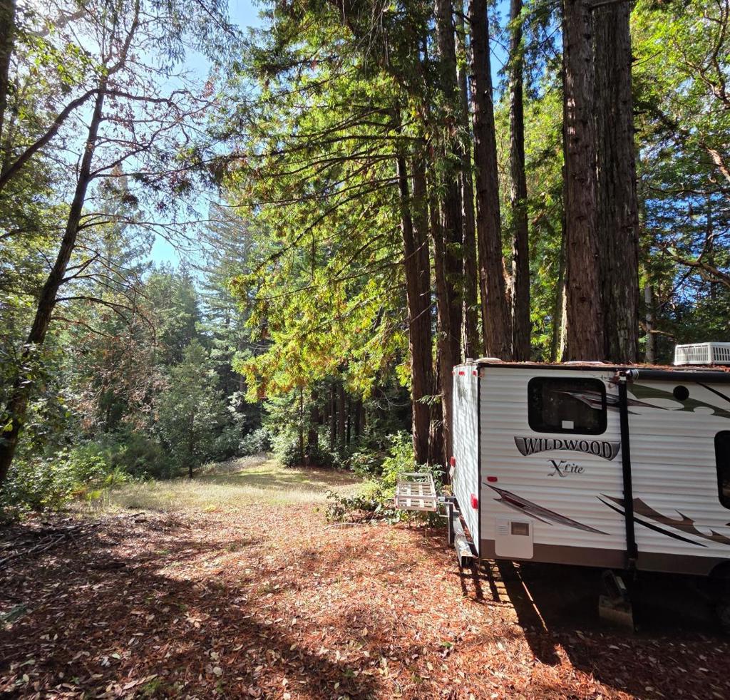 MLS #ML82027075 image #8