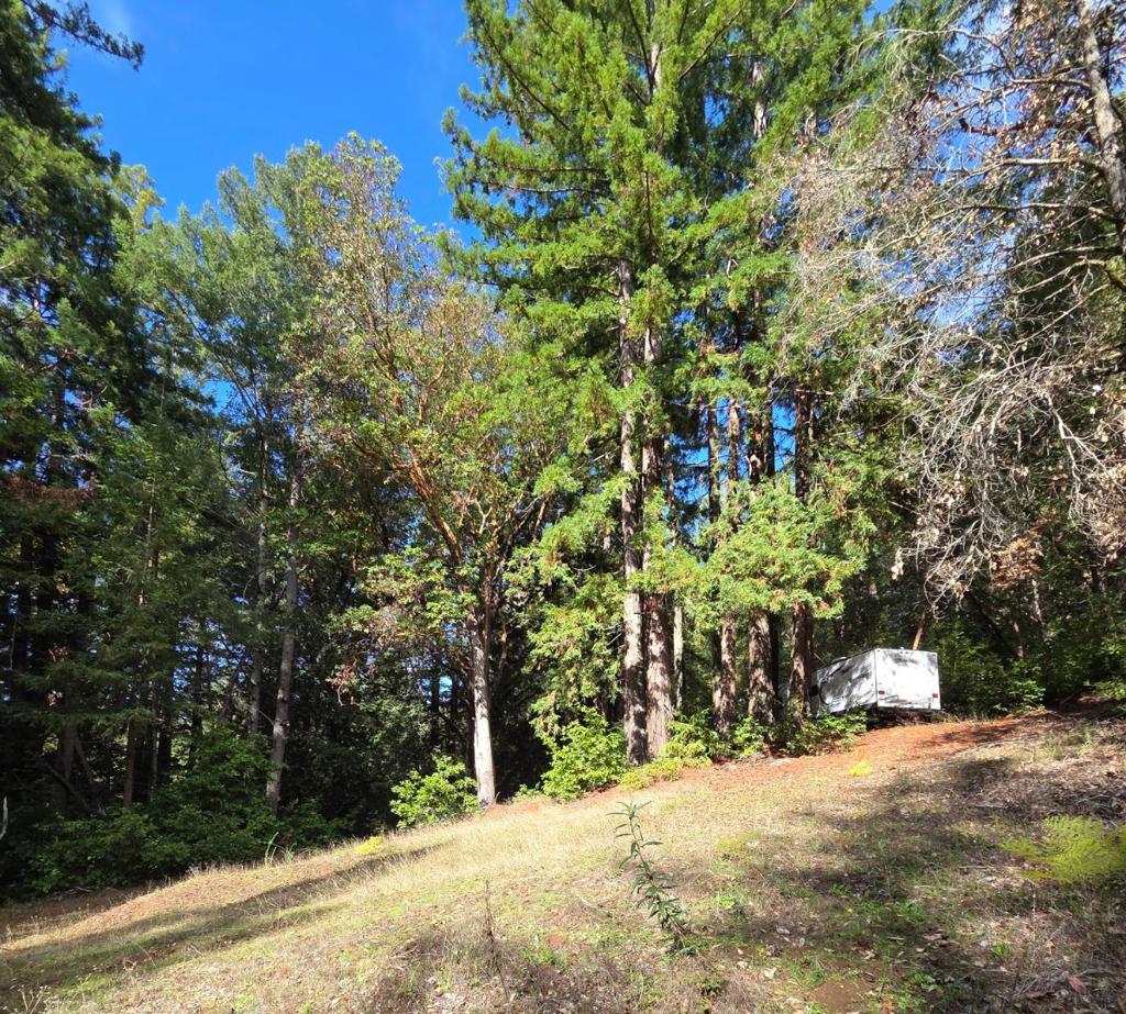 MLS #ML82027075 image #9