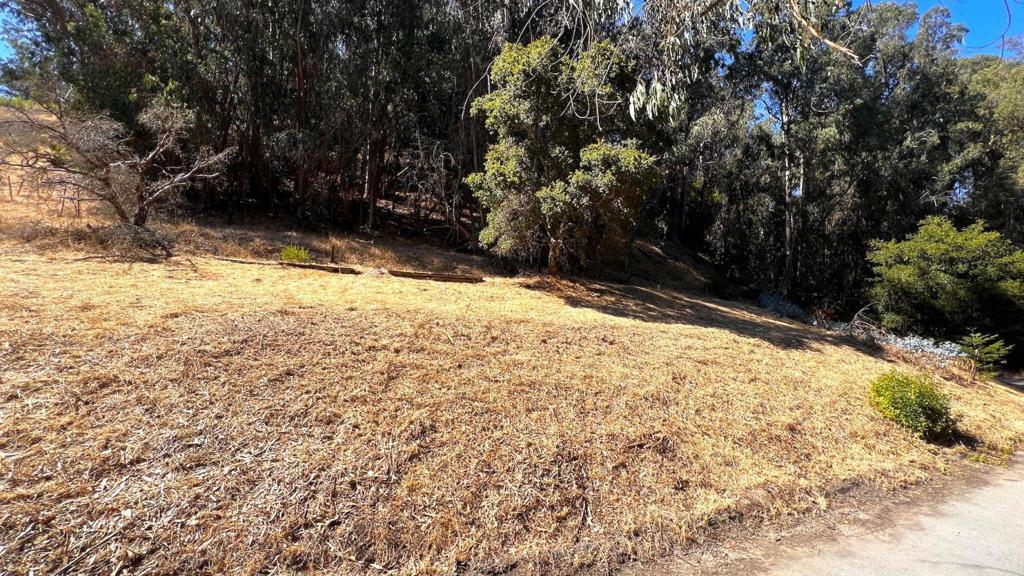 MLS #ML82027091 image #15