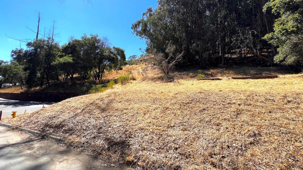 MLS #ML82027091 image #16