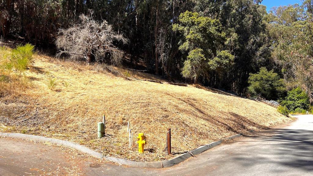 MLS #ML82027091 image #19