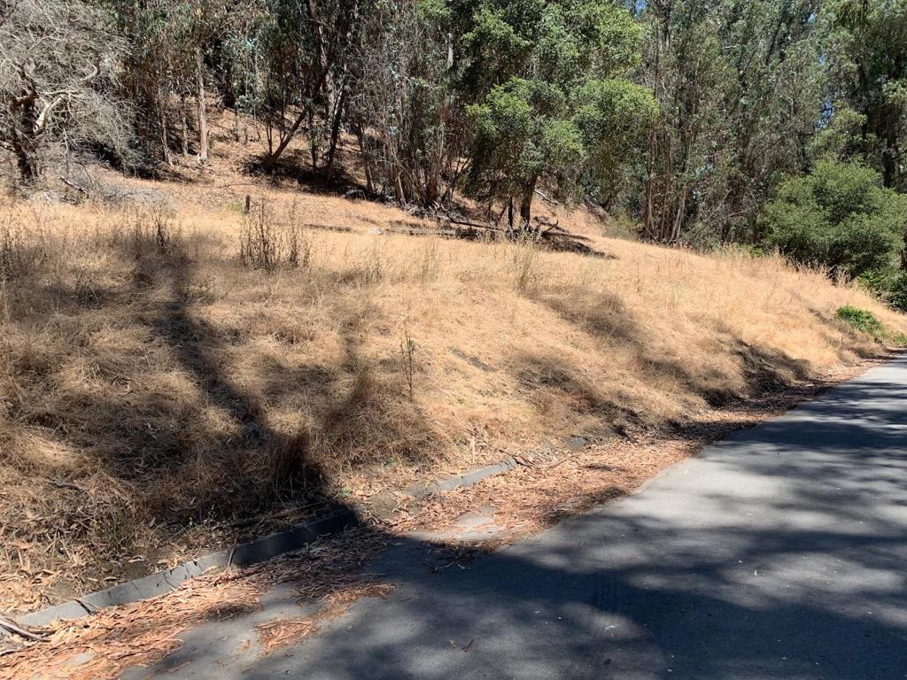 MLS #ML82027091 image #2