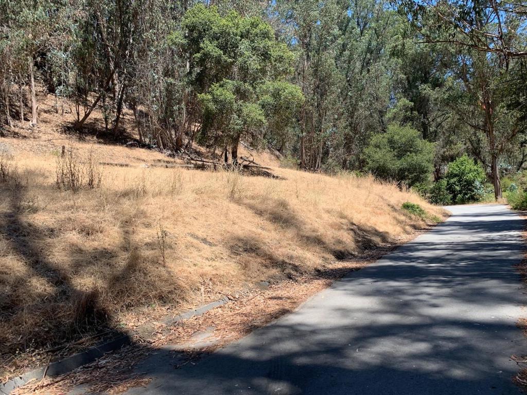 MLS #ML82027091 image #3