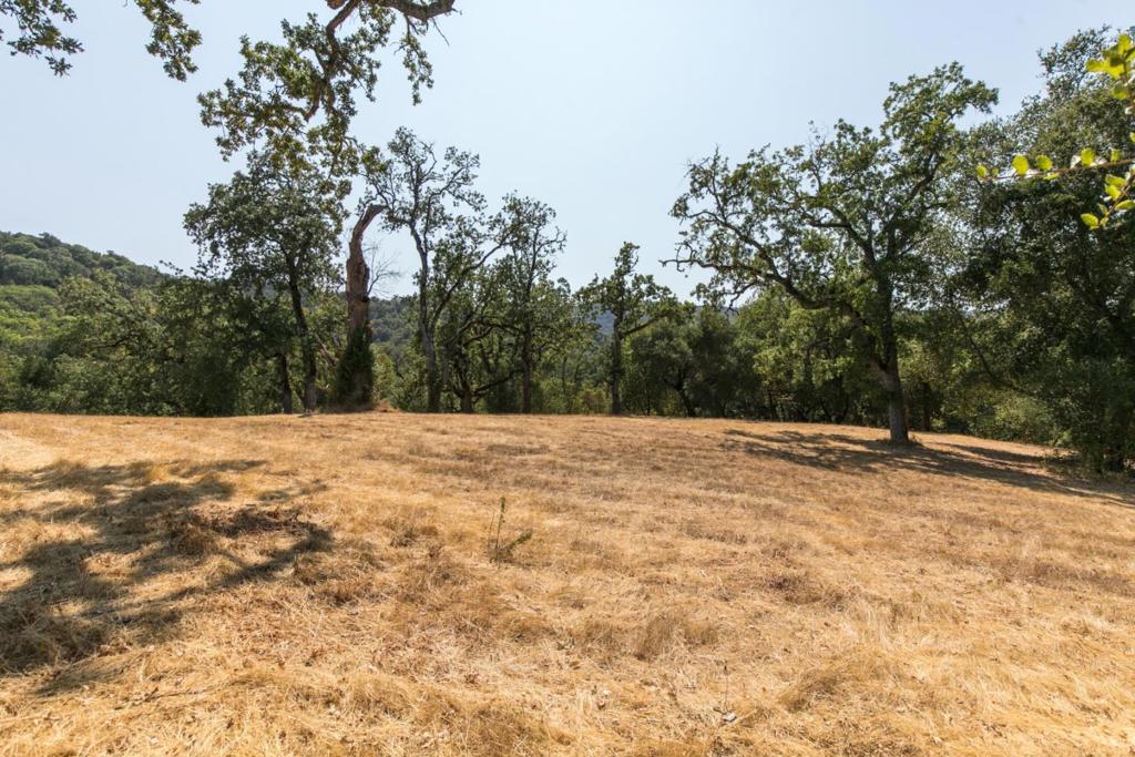 MLS #ML82027130 image #1