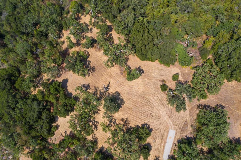 MLS #ML82027130 image #13