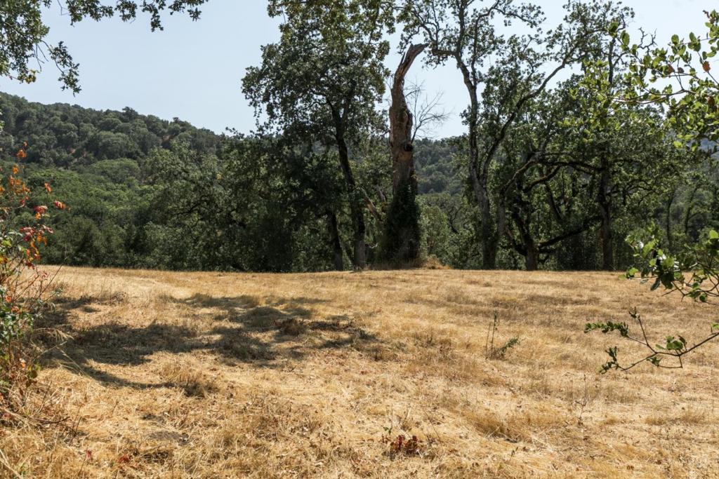 MLS #ML82027130 image #5