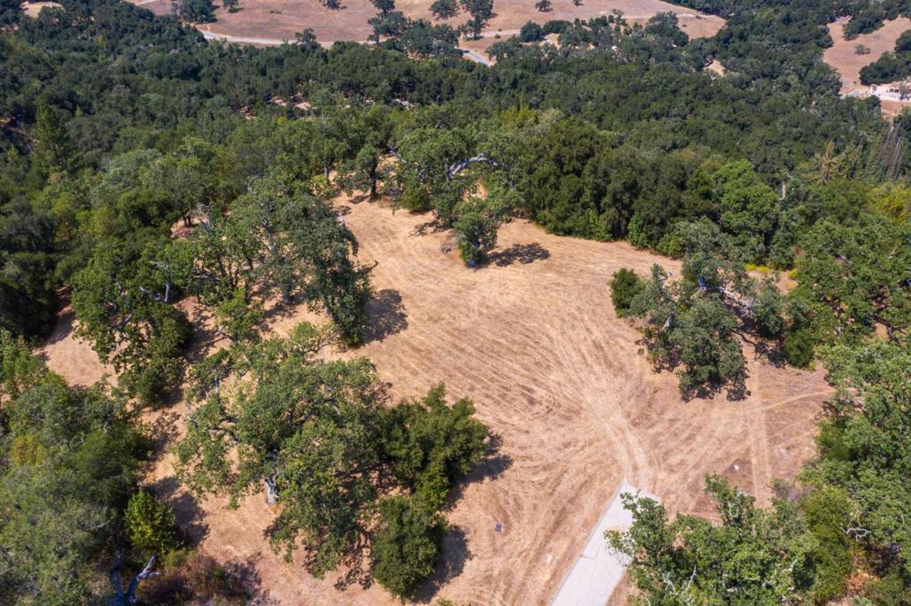 MLS #ML82027130 image #6