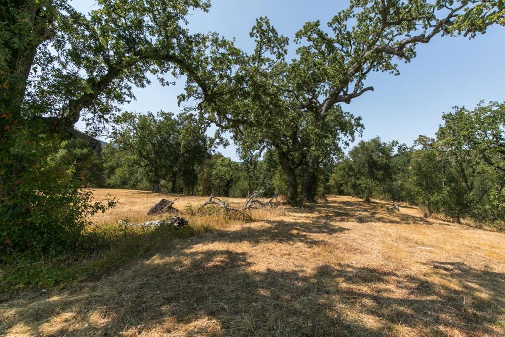 MLS #ML82027130 image #8