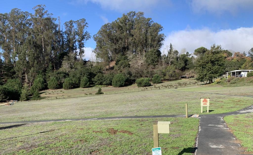 MLS #ML82027170 image #42