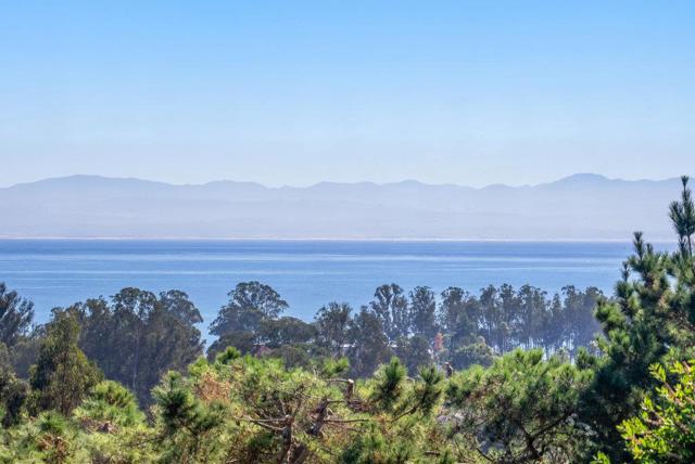 MLS #ML82027262 image #7