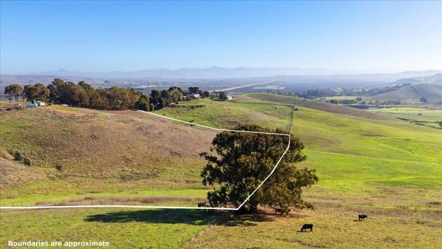 MLS #ML82027348 image #14