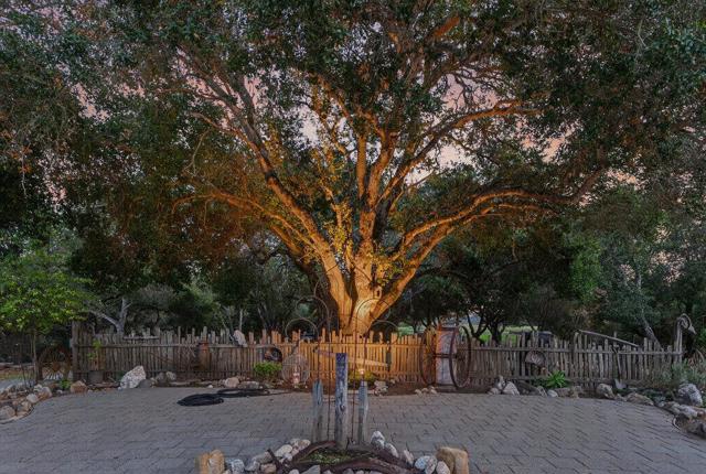 MLS #ML82027399 image #66