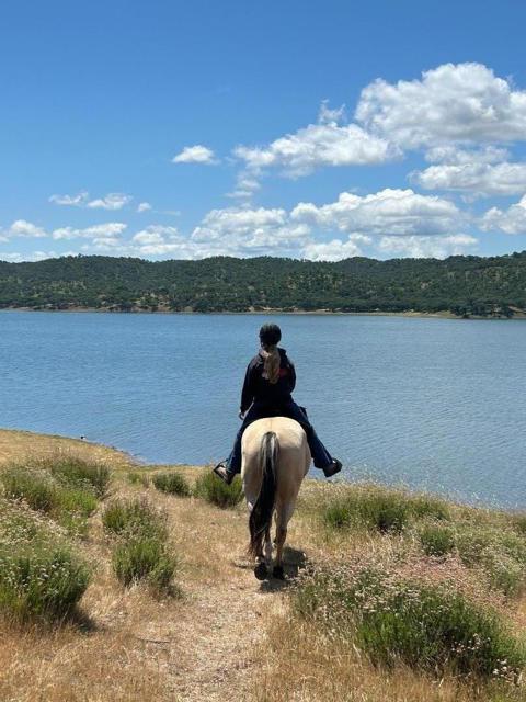 MLS #ML82027399 image #12