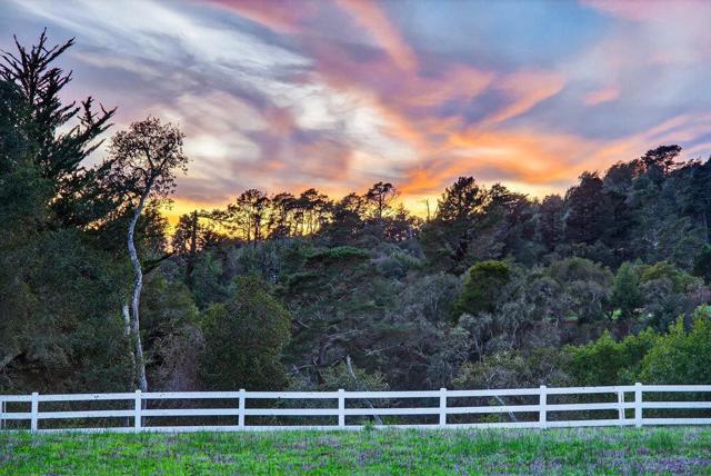 MLS #ML82027399 image #16