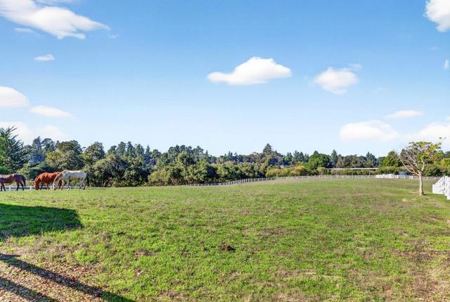 MLS #ML82027399 image #20