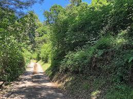 MLS #ML82027409 image #0