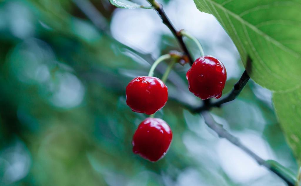 MLS #ML82027414 image #1