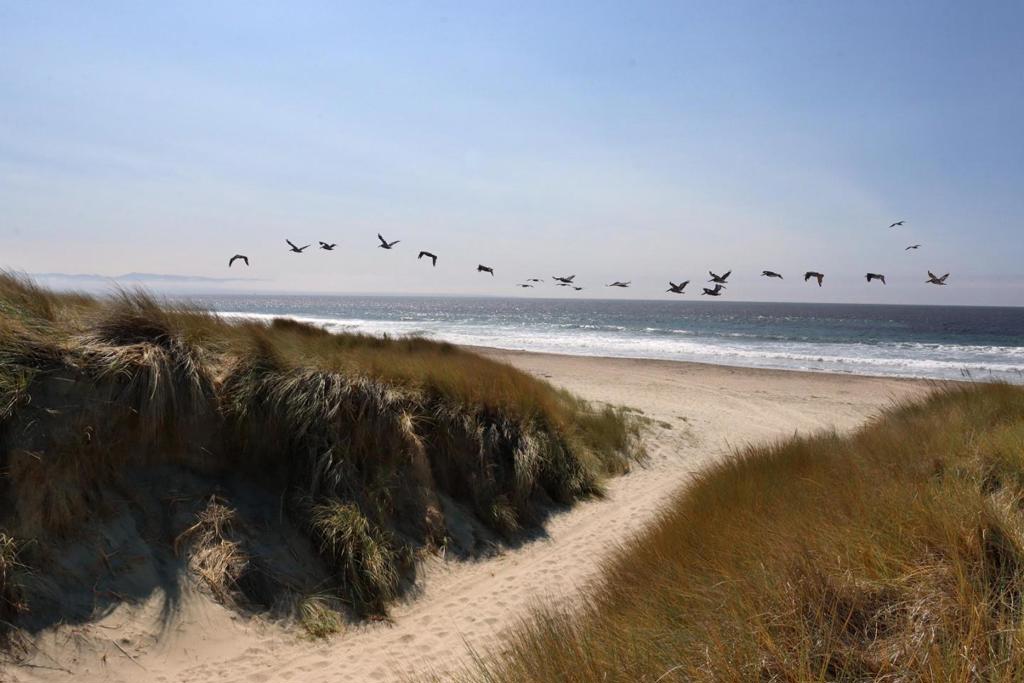 MLS #ML82027447 image #5