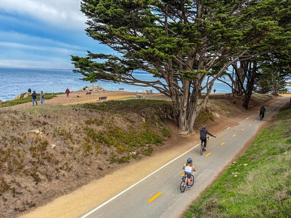 MLS #ML82027487 image #29