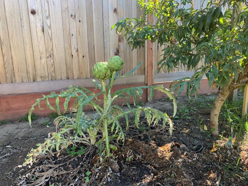 MLS #ML82027525 image #16