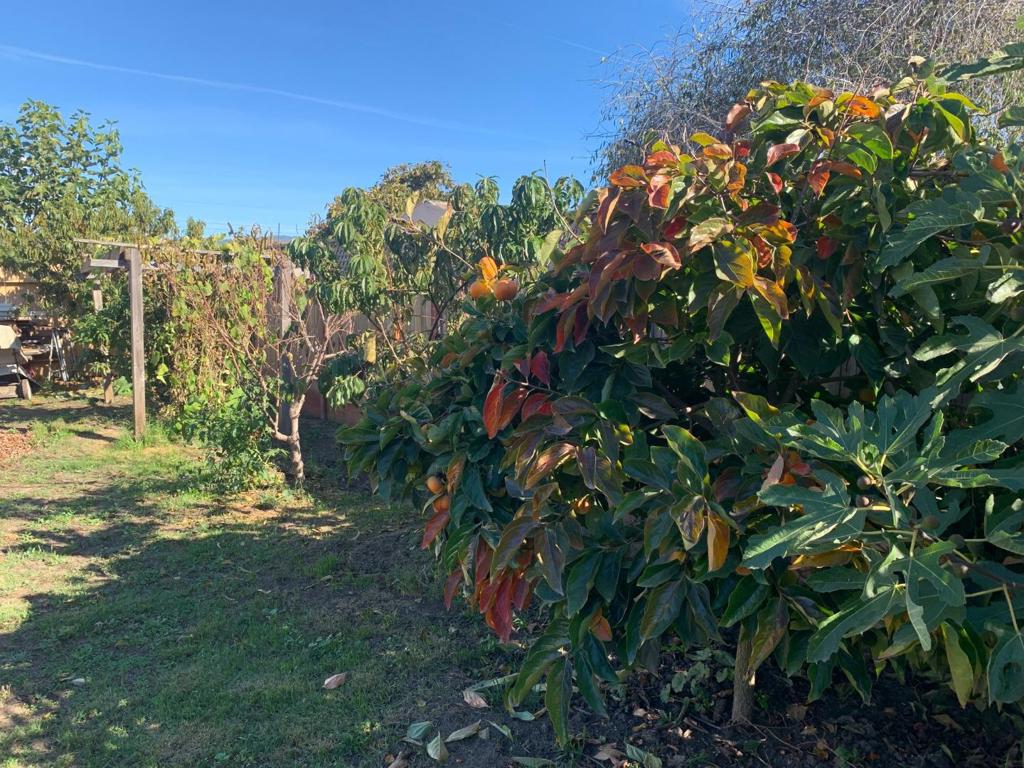 MLS #ML82027525 image #17