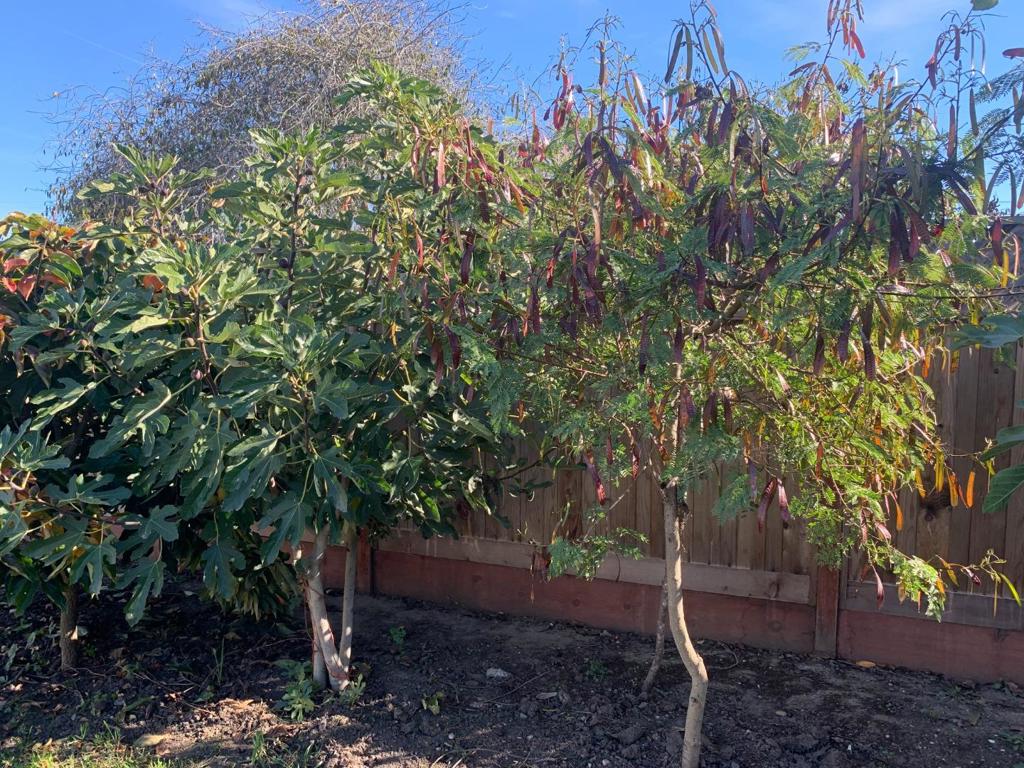 MLS #ML82027525 image #18