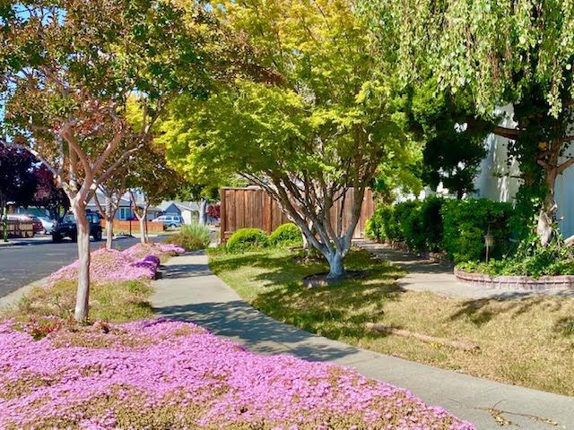 MLS #ML82027540 image #22