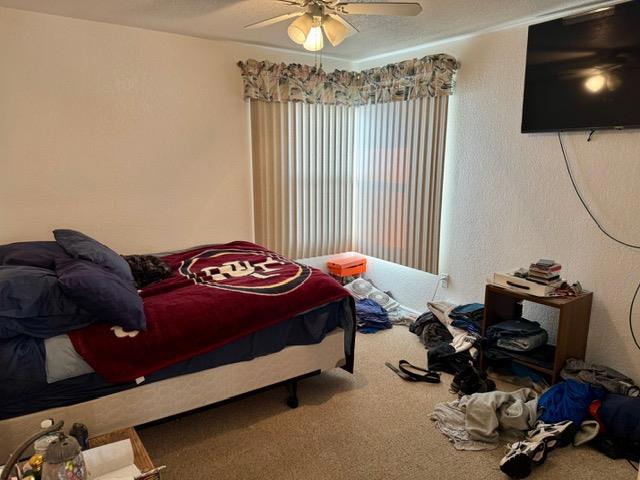 MLS #ML82027733 image #12