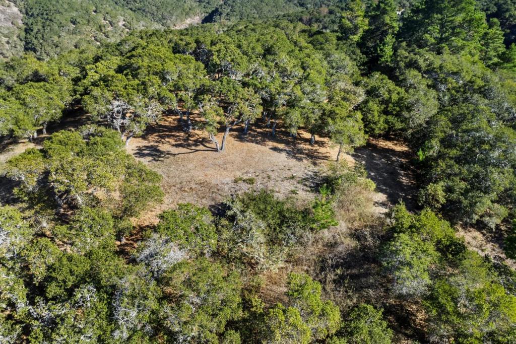 MLS #ML82027754 image #1