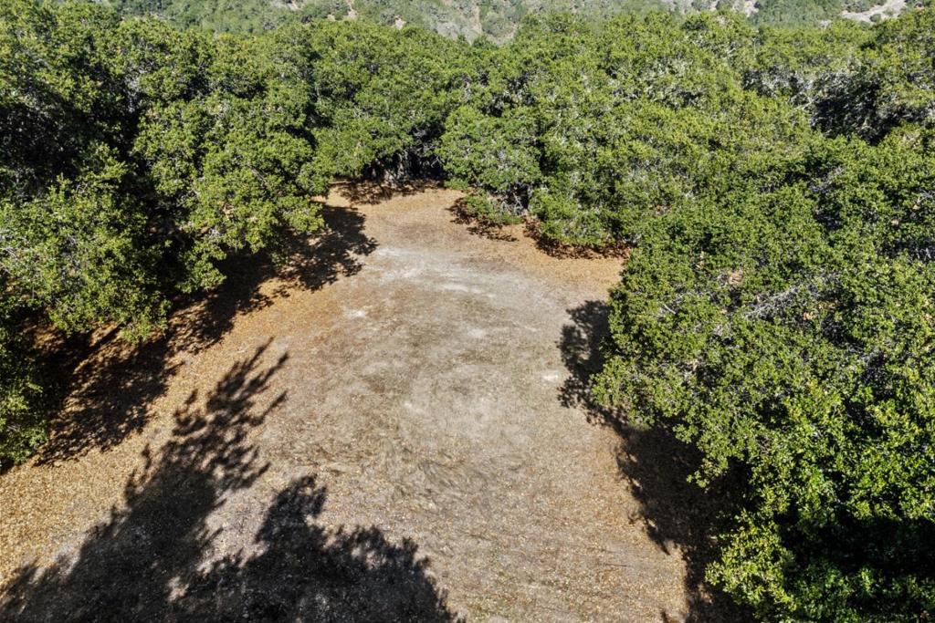 MLS #ML82027754 image #2