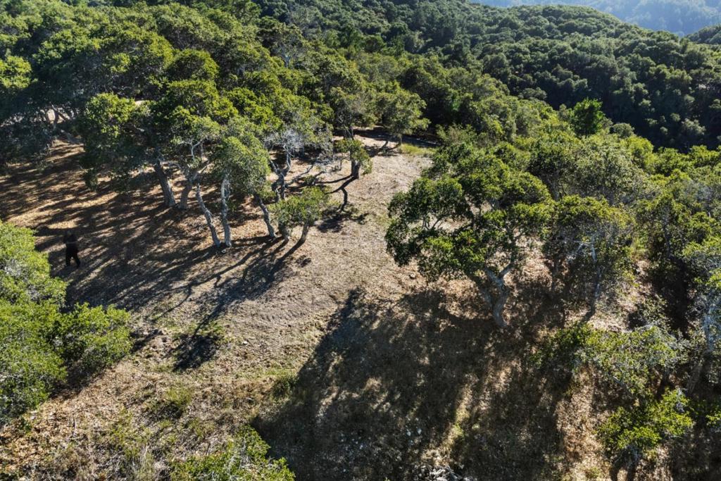 MLS #ML82027754 image #3