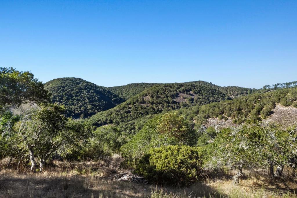 MLS #ML82027754 image #5