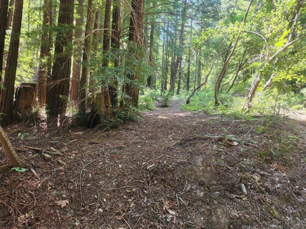 MLS #ML82027788 image #1