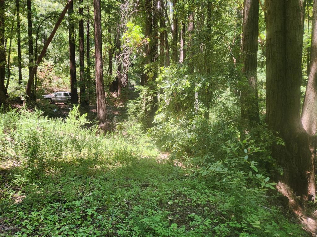 MLS #ML82027788 image #2