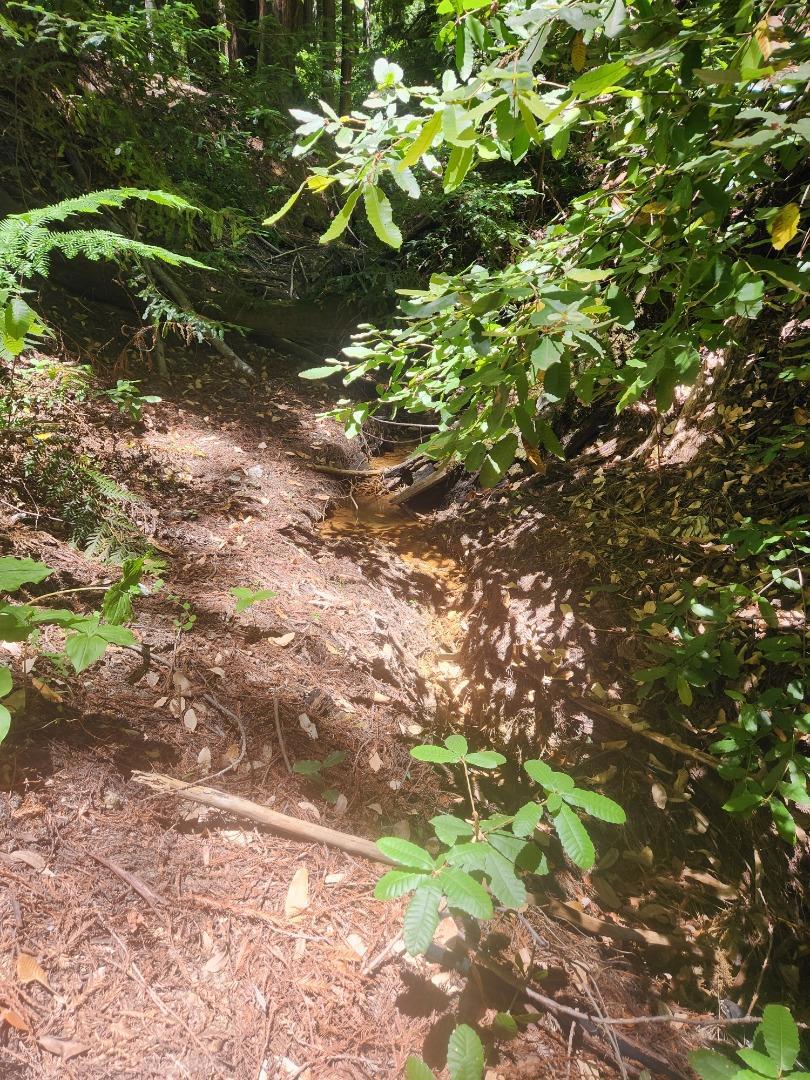 MLS #ML82027788 image #3