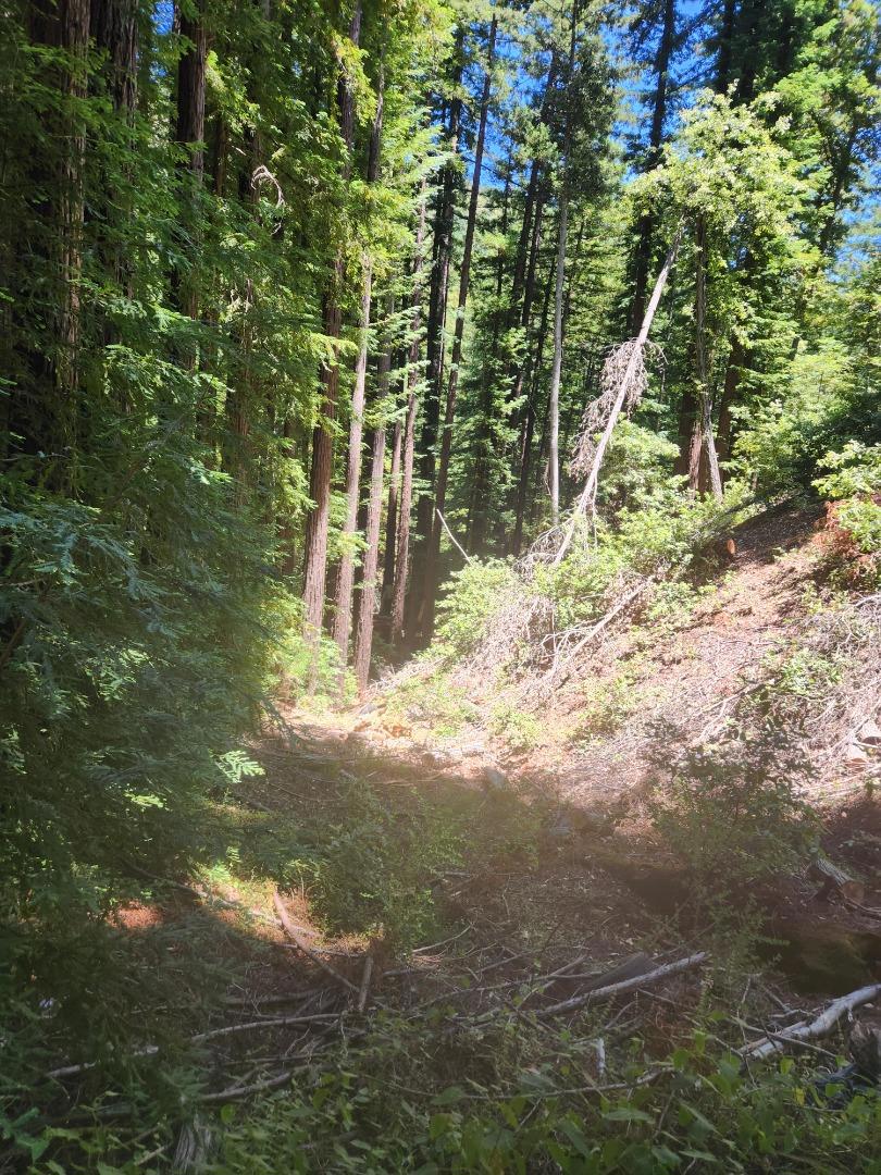 MLS #ML82027788 image #4