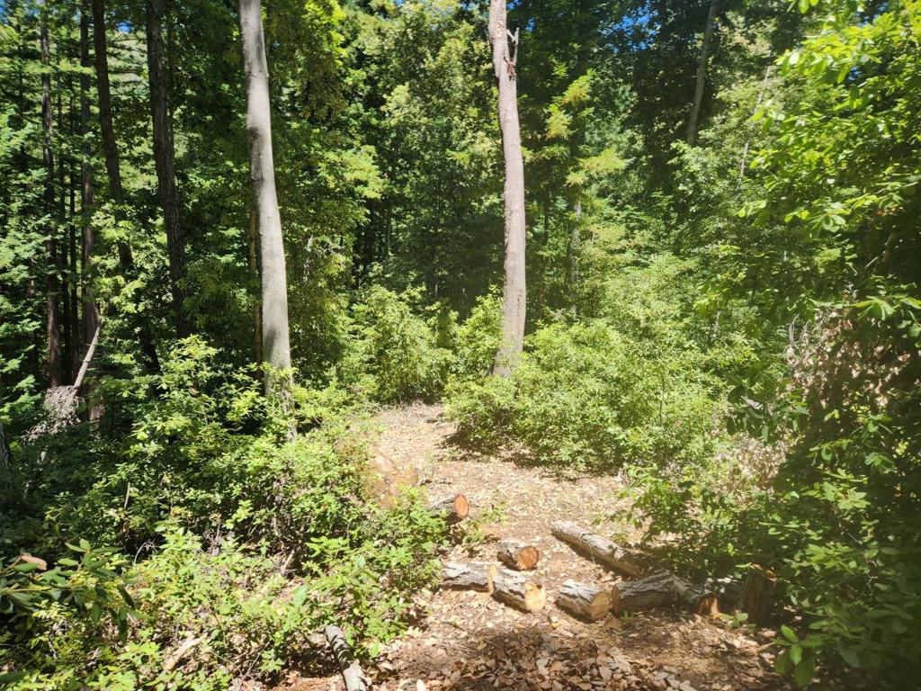 MLS #ML82027788 image #5