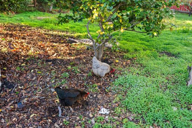 MLS #ML82027794 image #18