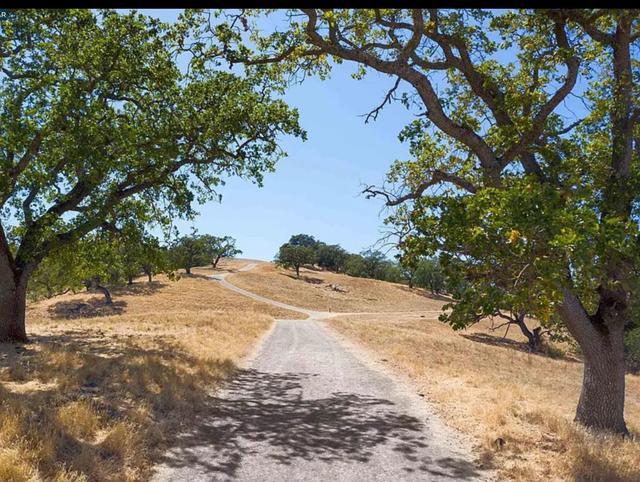 MLS #ML82027894 image #13