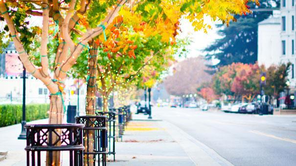 MLS #ML82027913 image #32