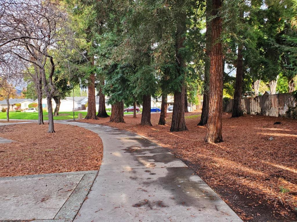 MLS #ML82027946 image #18