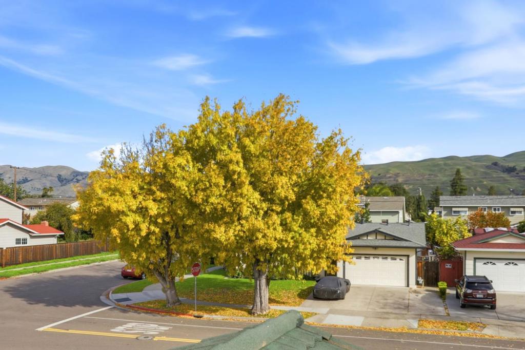 MLS #ML82028174 image #42