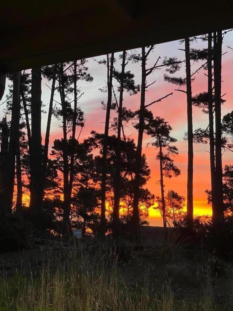 MLS #ML82028246 image #36