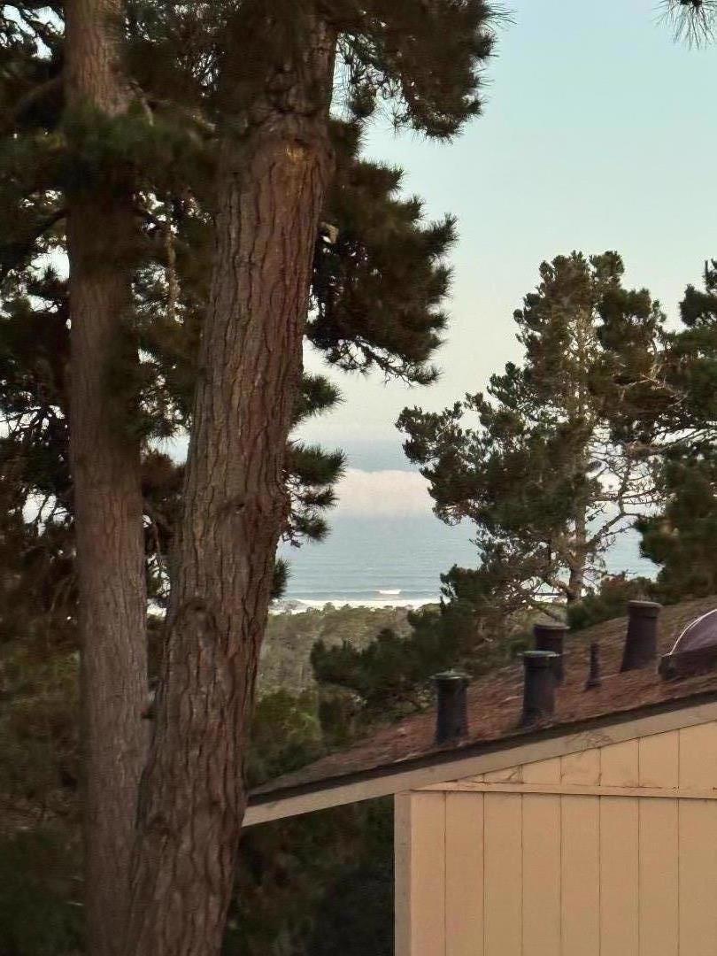 MLS #ML82028246 image #38