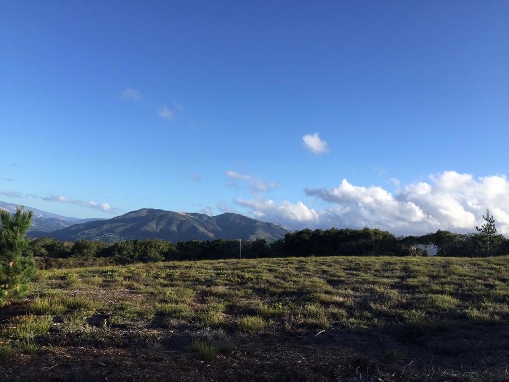 MLS #ML82028356 image #1